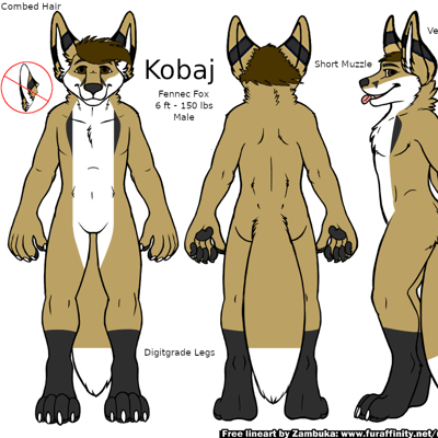 Original reference of Kobaj showing off his markings and attributes.