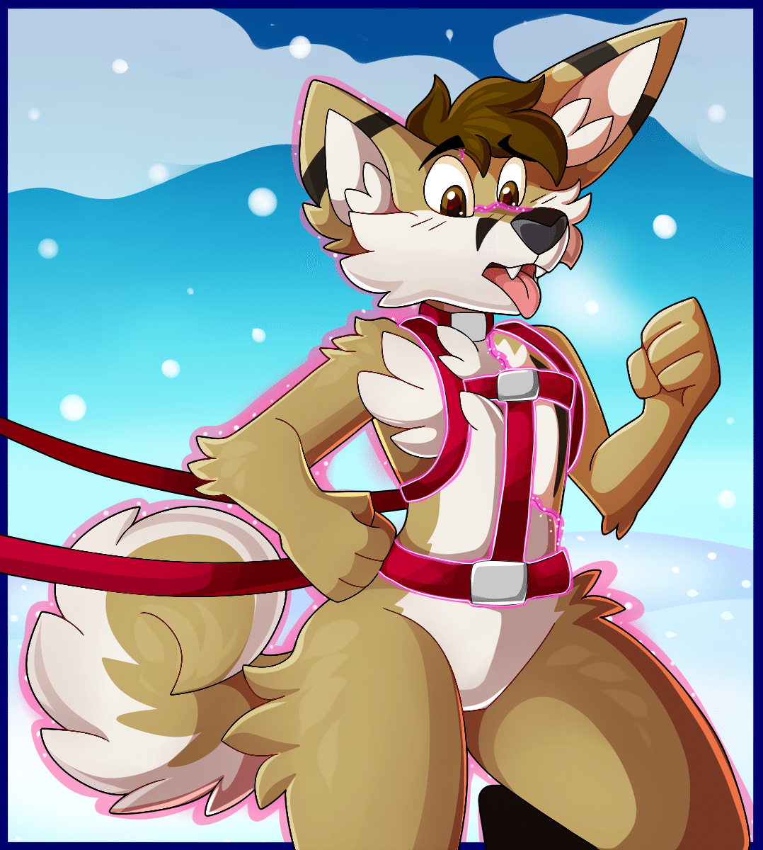 Kobaj transforming into a husky after putting on a sled harness.