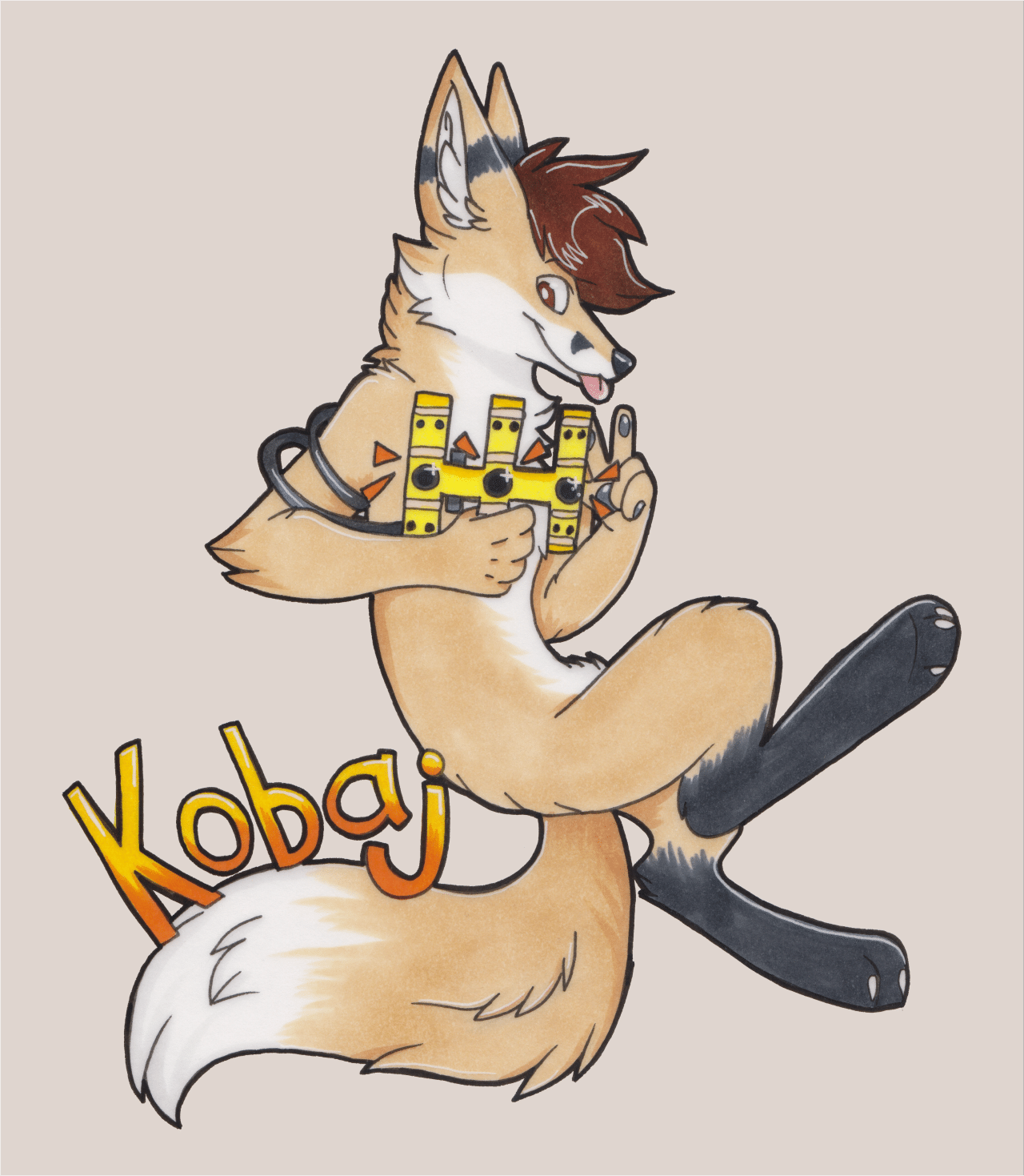 Kobaj showing off his wigglegram making camera.