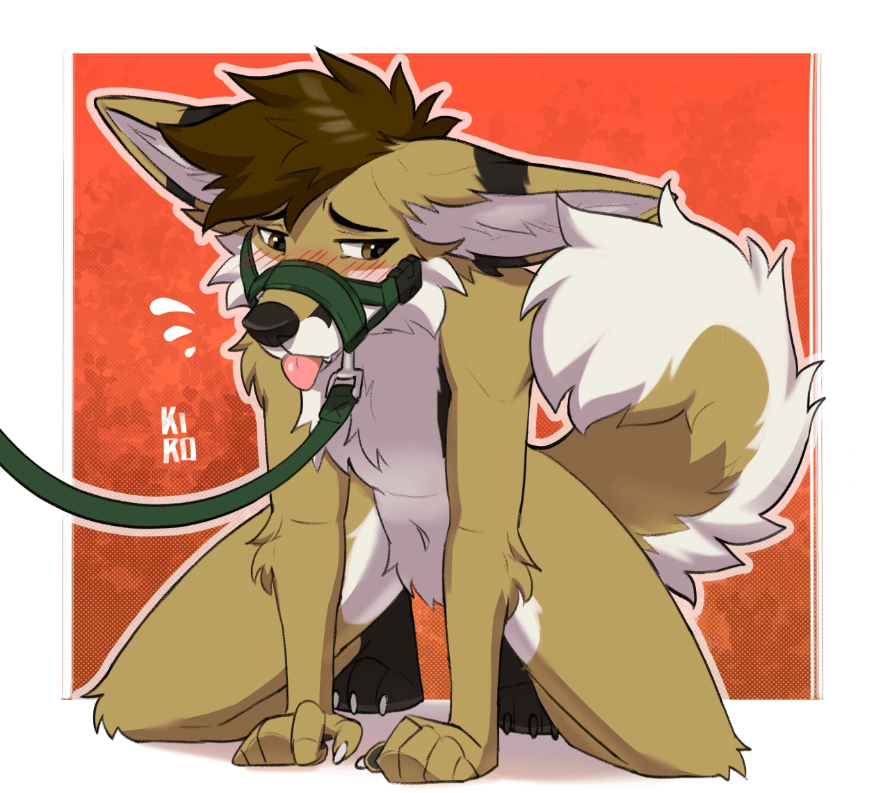 Kobaj on all fours with a leash connected to his muzzle.