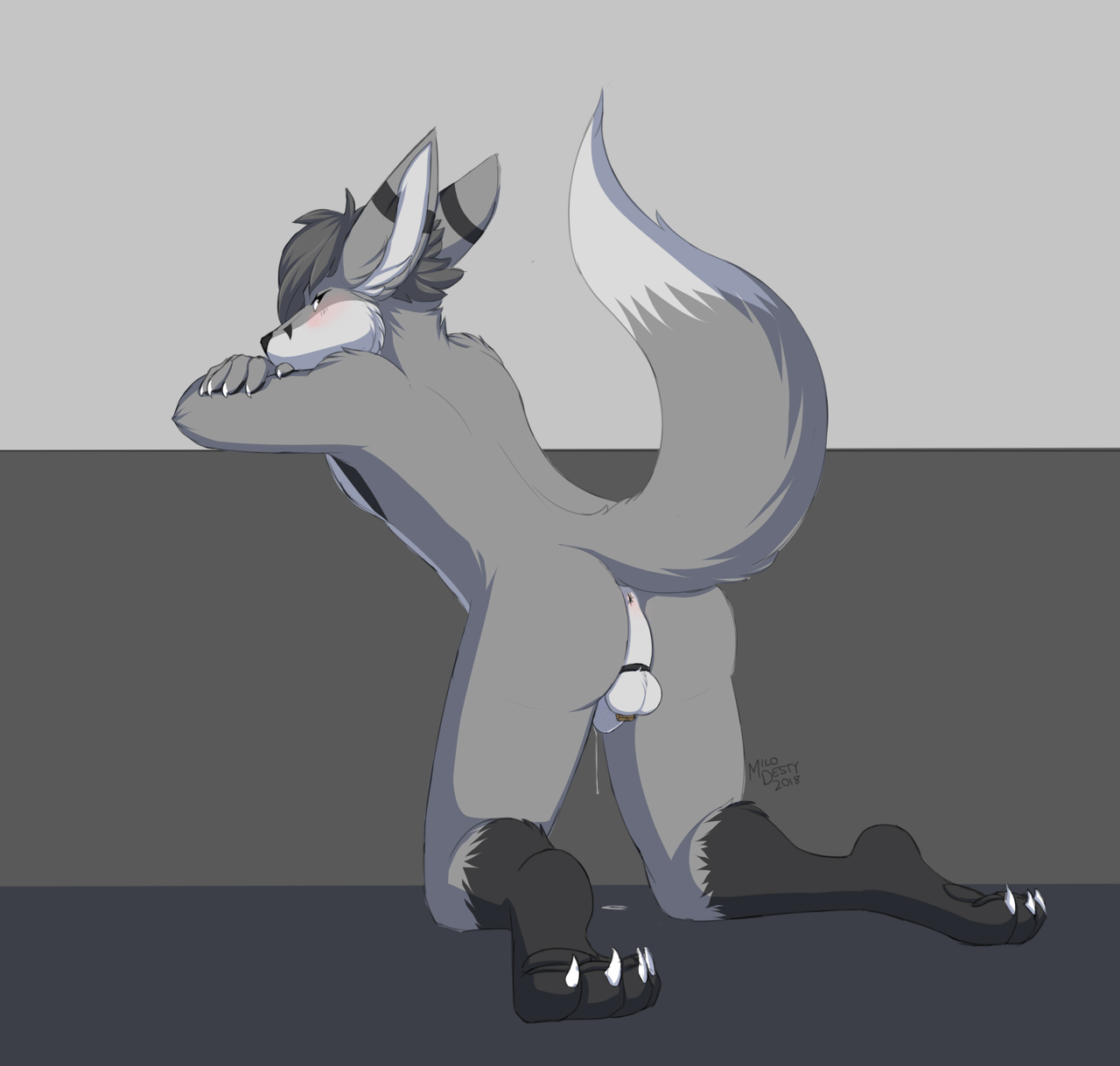 Kobaj lifting his tail and letting you see not only his butt, but also his cage.