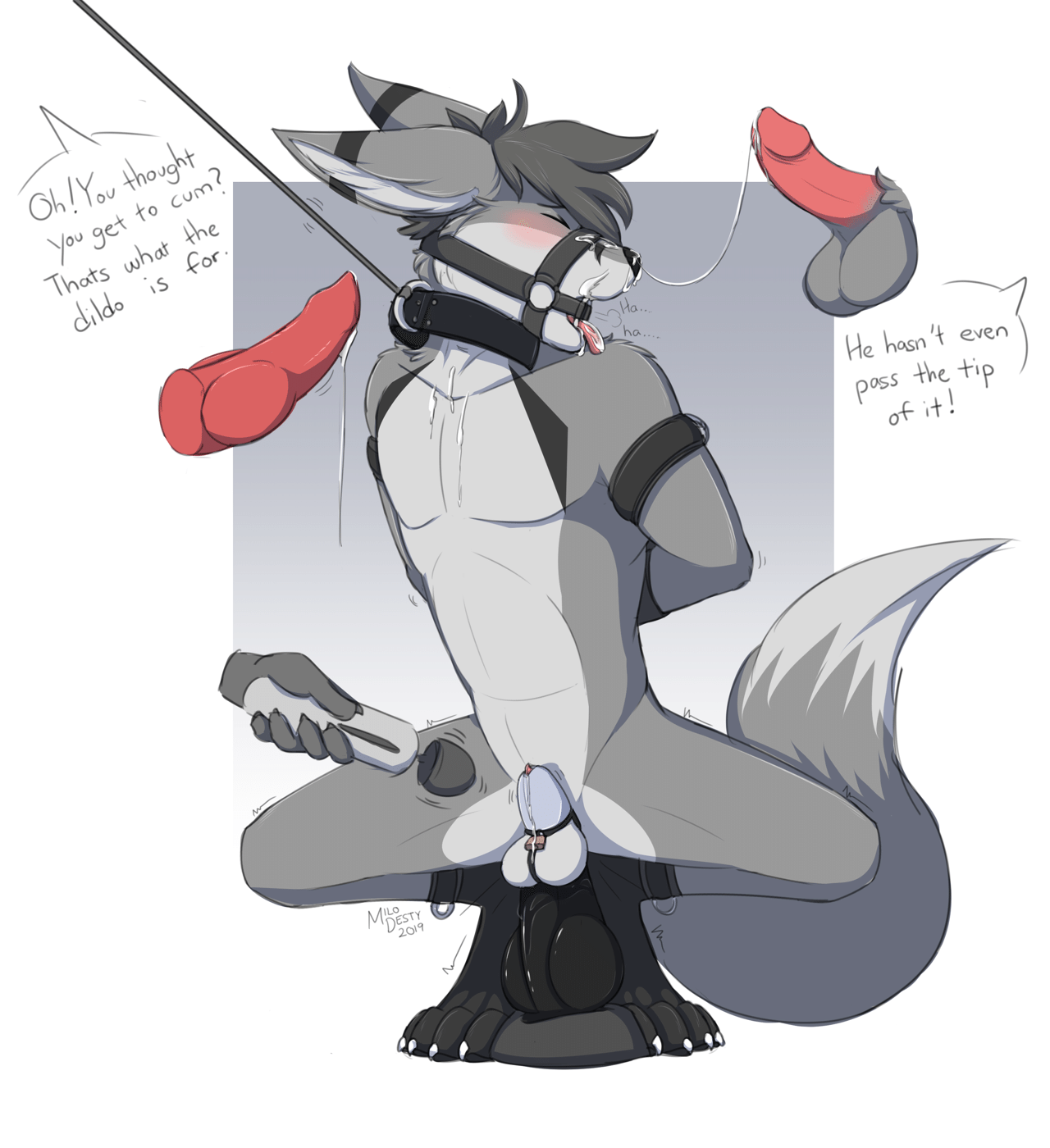 Kobaj tied up and pushed down onto a big toy while his cage is buzzed with a magic wand.
