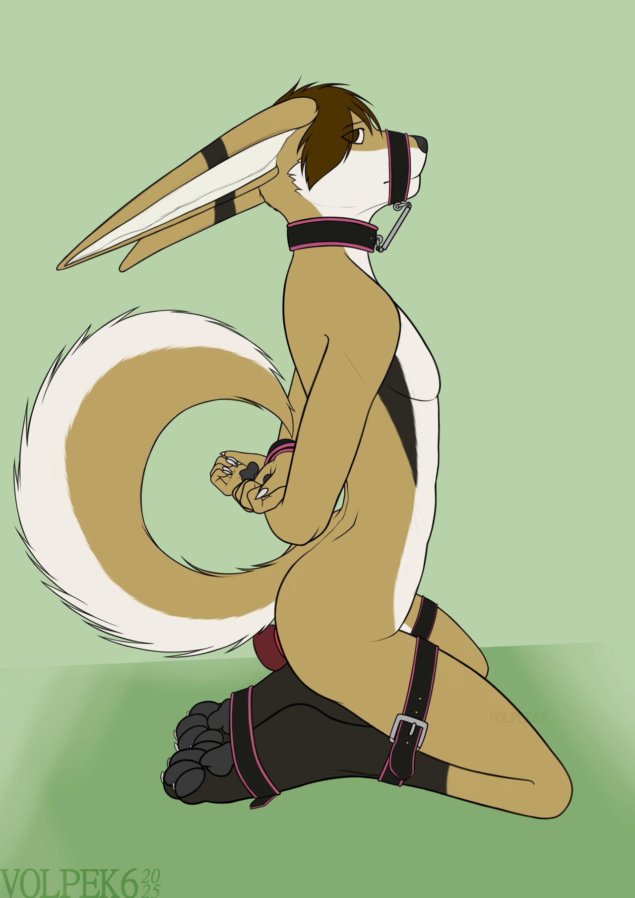 Kobaj tied up and sitting obediently with a thick toy under his tail, a tight metal cage on his sheath, and a tiny grin on his face.