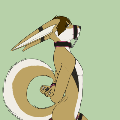Kobaj tied up and sitting obediently with a thick toy under his tail, a tight flat cage on his sheath, and a tiny grin on his face.