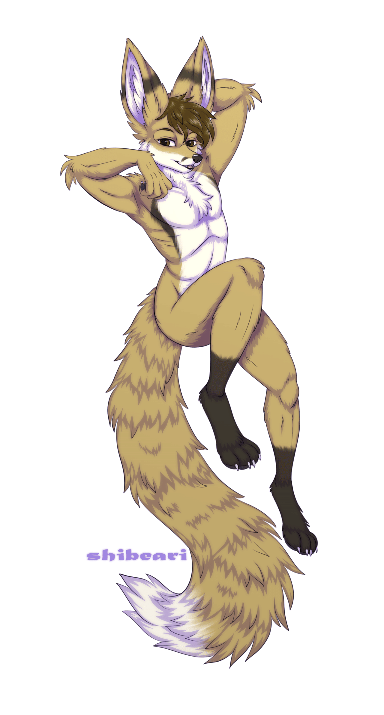 Kobaj flexing and showing off how long and tall he is, with his fluffy tail draped far below him, and his arms up above him.