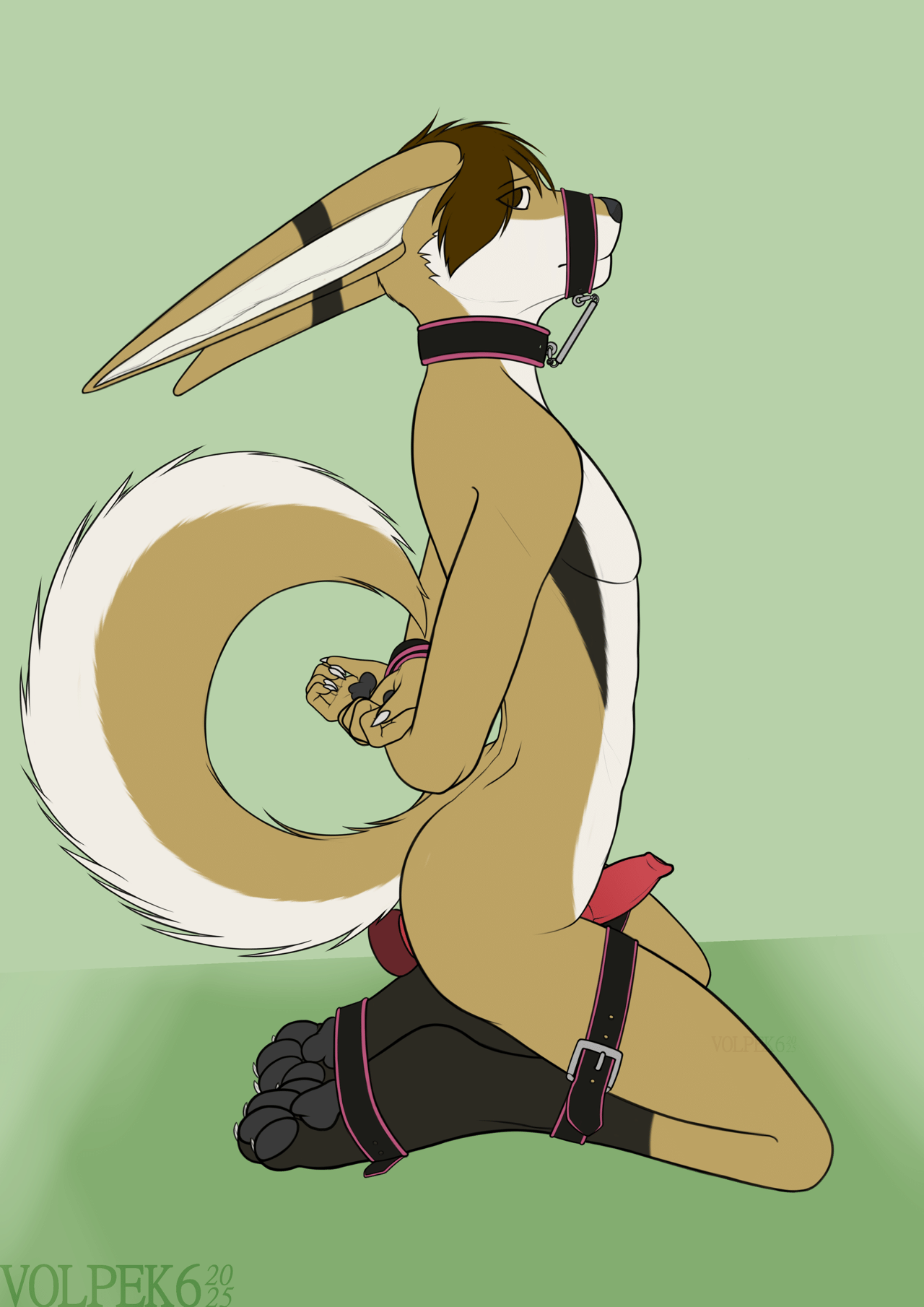 Kobaj tied up and sitting obediently with a thick toy under his tail, his sheath hard and exposed, and a tiny grin on his face.