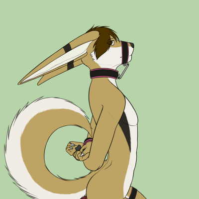 Kobaj tied up and sitting obediently with a thick toy under his tail, a tight metal cage on his sheath, and a tiny grin on his face.