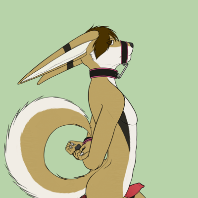 Kobaj tied up and sitting obediently with a thick toy under his tail, his sheath hard and exposed, and a tiny grin on his face.