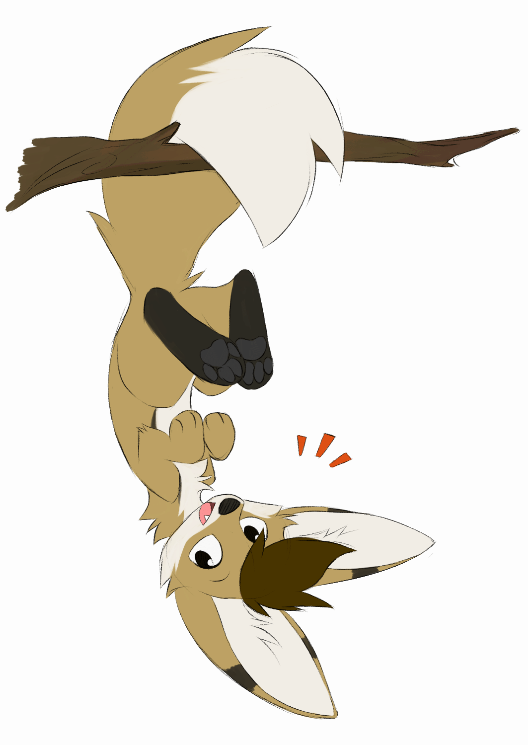 Kobaj is being a little goober by hanging upside down from a tree branch.