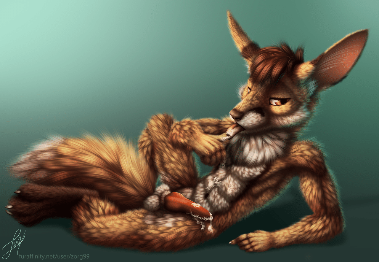 Kobaj licking up a treat.