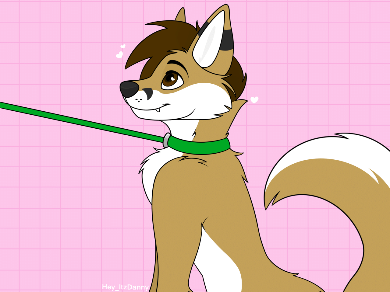 Kobaj sitting obediently at the end of his leash.