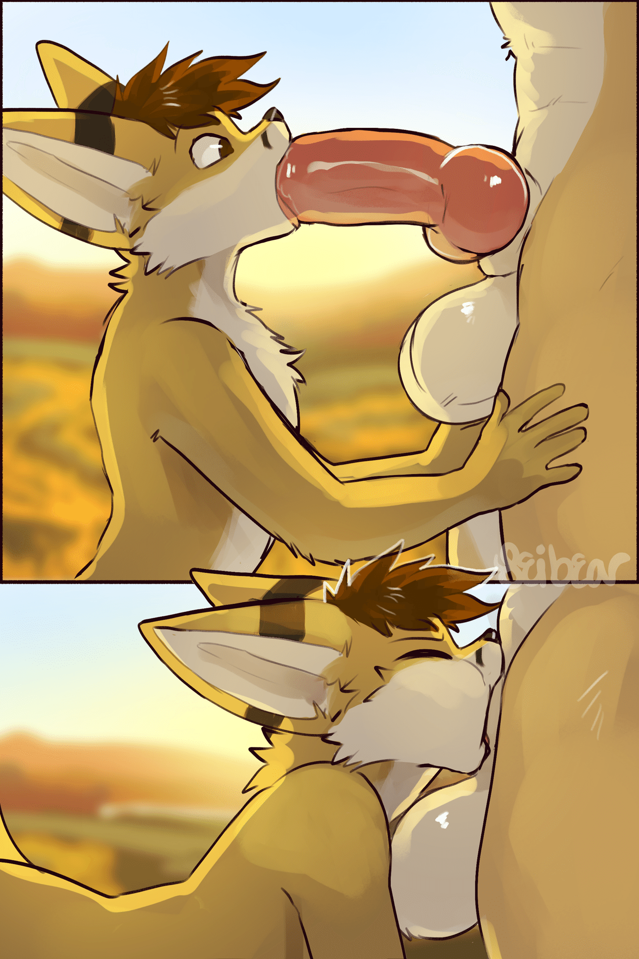 Kobaj pushing himself to his limits and really stretching his muzzle and throat as he slides all the way down a nice thick vulpine cock and knot.