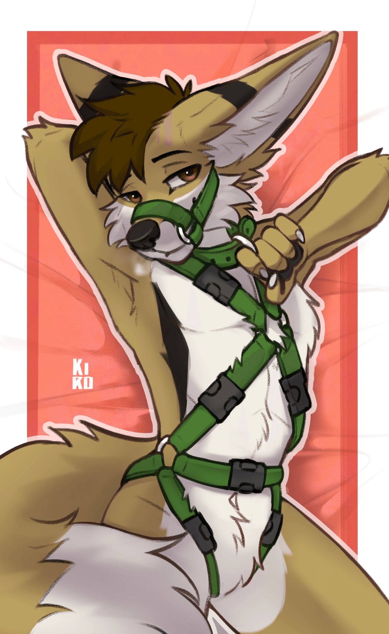 Kobaj has a seductive look as he lays back wearing nothing but a sled dog harness, his paw hooked around one of the d-rings and encouraging you to give it a tug.
