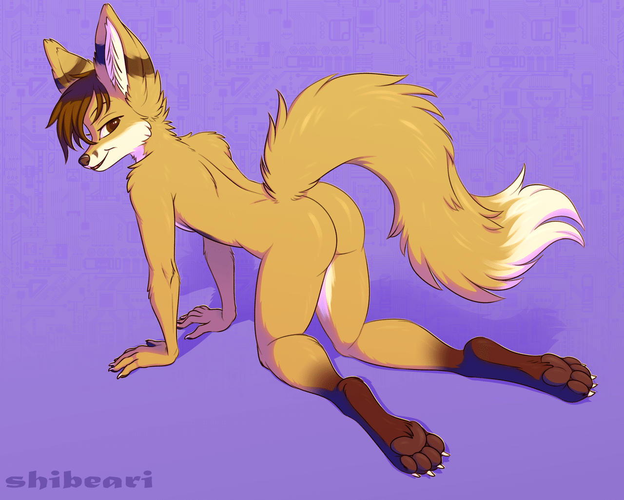 Kobaj on all fours looking back at you with a grin.