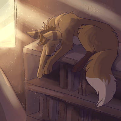 Kobaj snoozing ontop of a bookshelf in an old library.