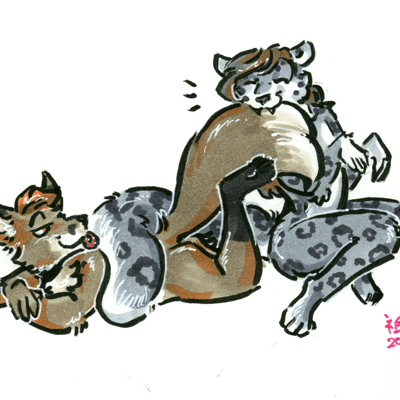 Aubirb has caught Kobaj's tail.