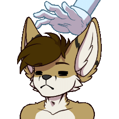 Kobaj looking very tired and resigned after being head patted so many times, its not his fault his ears wiggle and look super cute when it happens.