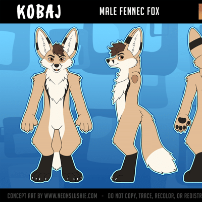 Kobaj reference sheet by Neonslushie.