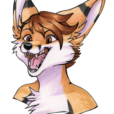 Kobaj doing what fennecs do best and screaming his cute head off.
