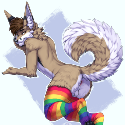 Kobaj looking over his shoulder as he shows off his butt, curly tail, and rainbow programming socks.