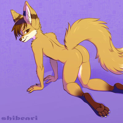 Kobaj on all fours looking back at you with a grin.