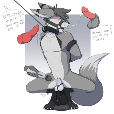 Kobaj tied up and pushed down onto a big toy while his cage is buzzed with a magic wand.