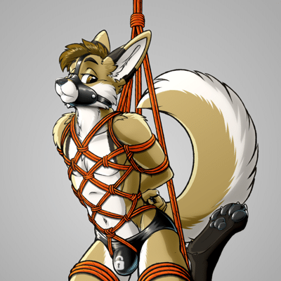 Kobaj tied up in shibari ropes with a null bulge.