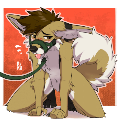 Kobaj on all fours with a leash connected to his muzzle.