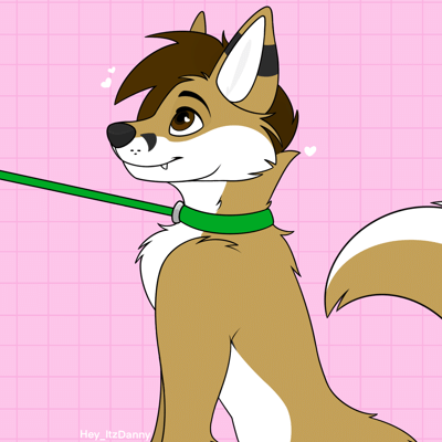 Kobaj sitting obediently at the end of his leash.