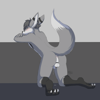 Kobaj lifting his tail and letting you see not only his butt, but also his cage.