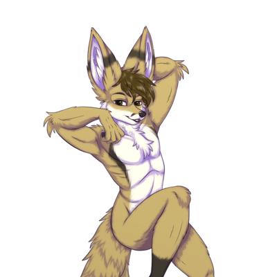 Kobaj flexing and showing off how long and tall he is, with his fluffy tail draped far below him, and his arms up above him.